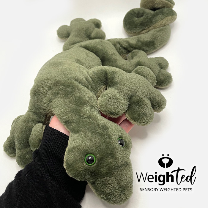 Weighted soft toy lizard