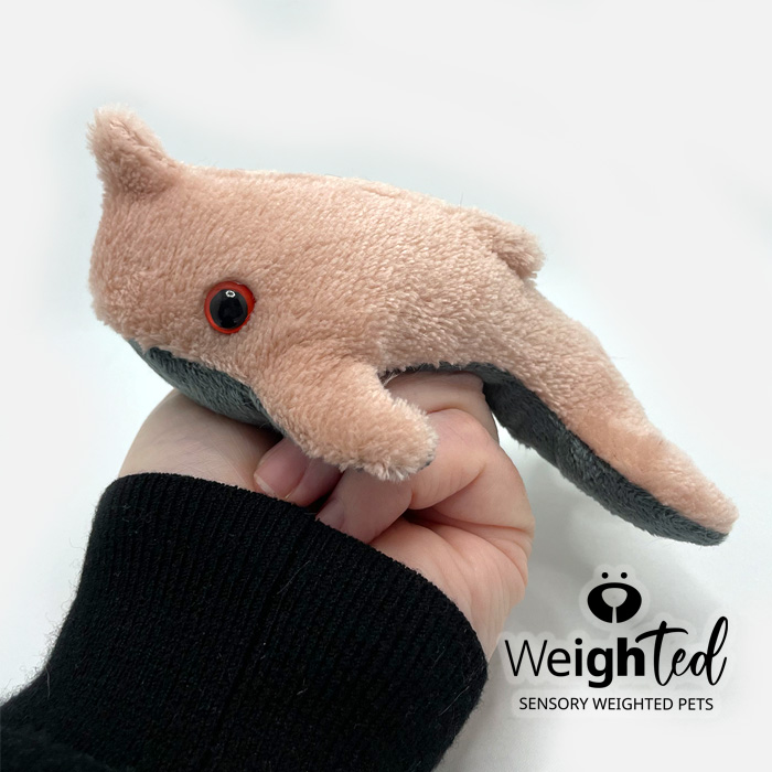 Weighted pet Narwhal