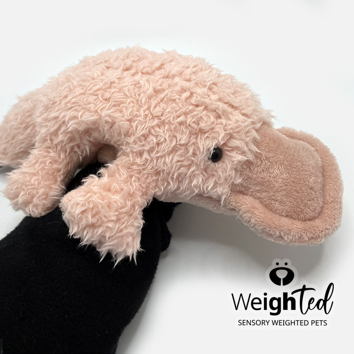 Weighted toy duckbilled platypus