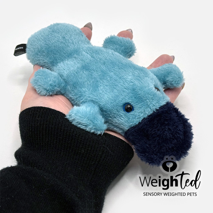 Weighted toy duckbilled platypus