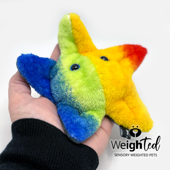 Weighted toy starfish