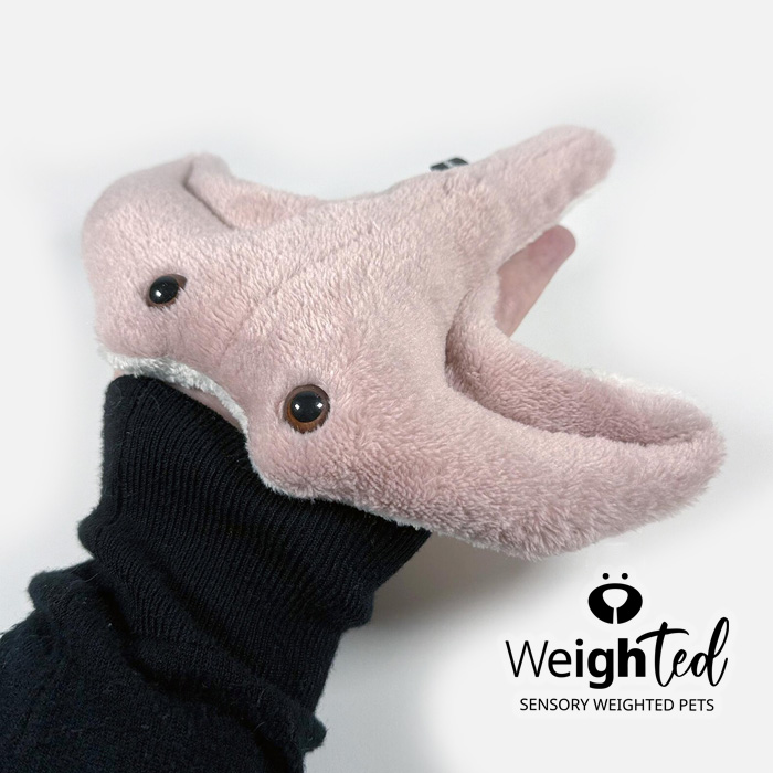 Weighted toy stingray